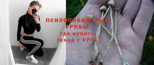 ешки Алзамай