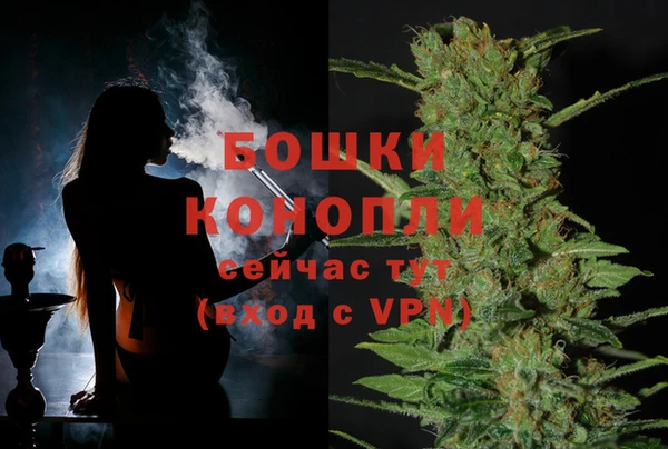 ешки Алзамай