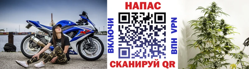 Бошки Шишки VHQ  Щигры 